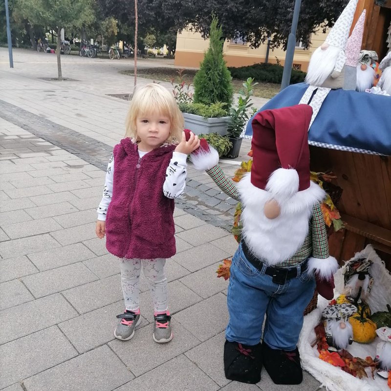 Helyi Értékek Startja 03